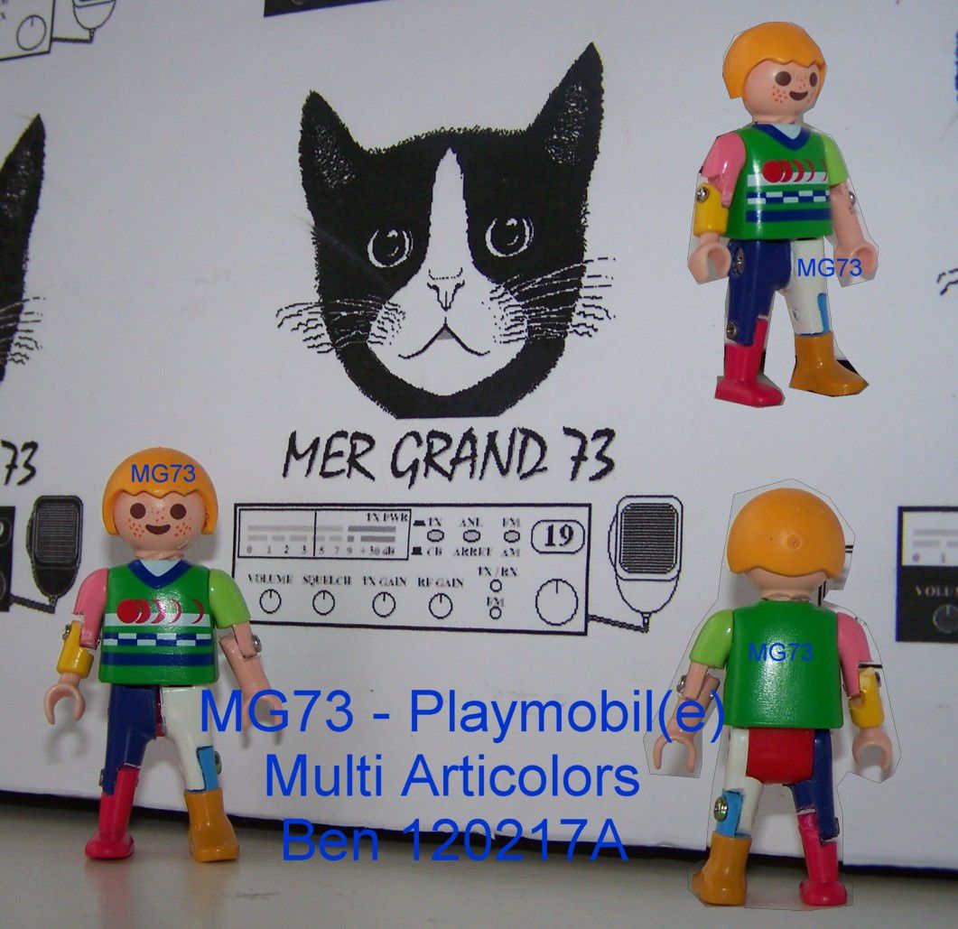 MG73---Playmobil-e--Multiarticolors-ben-120217A.jpg