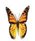 image475.gif