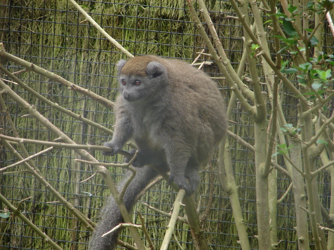 Le château et le parc zoologique de Clères en Seine-Maritime - Le blog ...