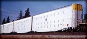 wagons-USA-1.jpg