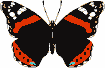 Papillons/chrono1452_1 Papillons/chrono1452_1