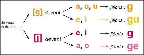 arbre-lettre-g-copie-1.jpg