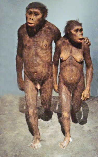 australopitheques.jpg