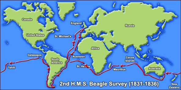 beagle voyage