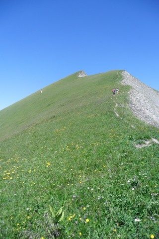 SAM_0534.jpg