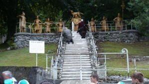 mclm lourdes 08.08