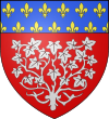 Blason-ville-d-Amiens.png