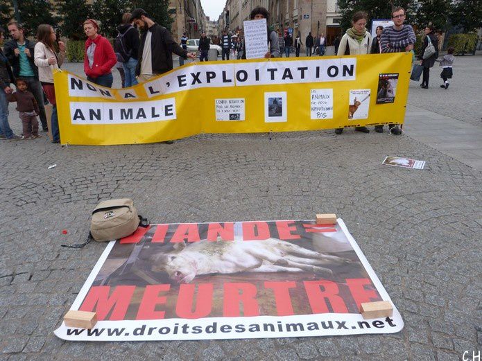 Rennes-manif.janimaux.jpg