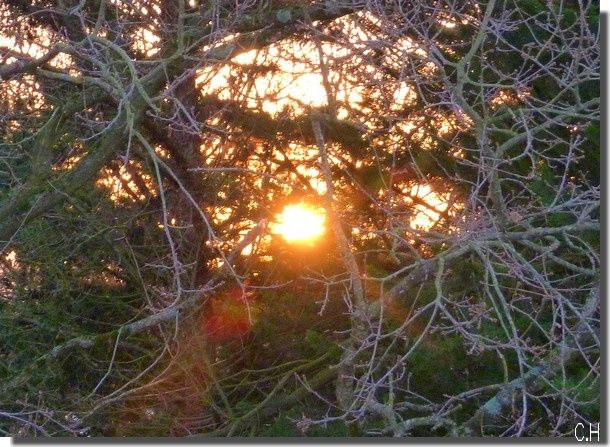 lever-du-soleil-18-12-9h.7---.jpg