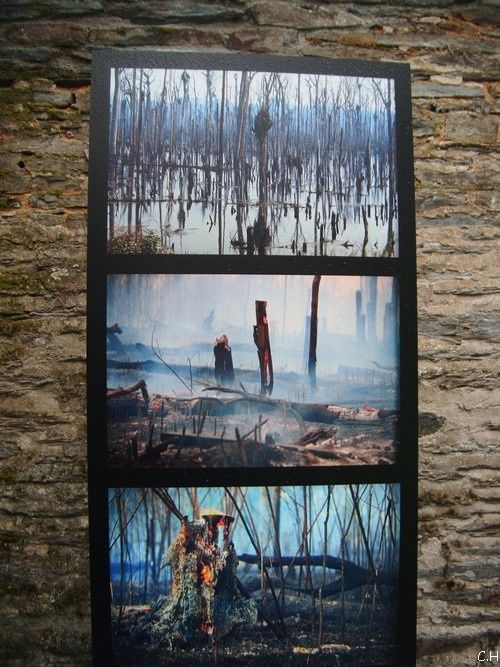 Gacilly-passerelle-Destruction-H.jpg