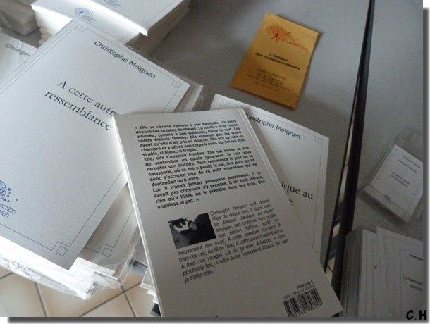 Meignen Livres