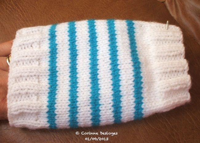 TRICOT : pull pour mini-chihuahua - Creativ-idees, le blog de Casse-bonbeca