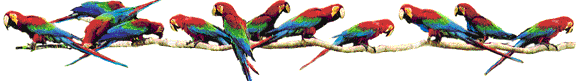 perroquet.gif
