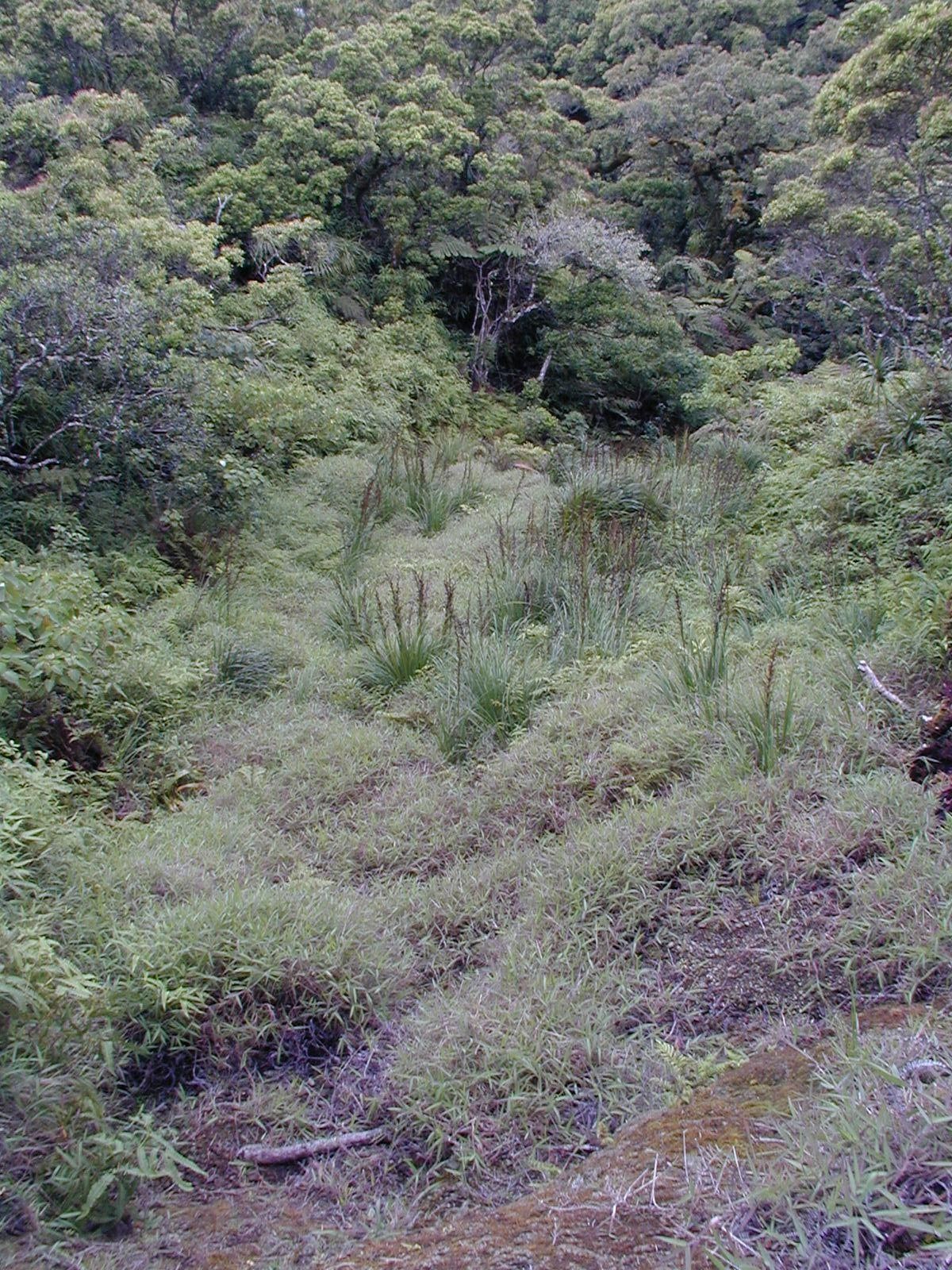 Glissement-de-terrain-Tahiti-Fare-Mato-f