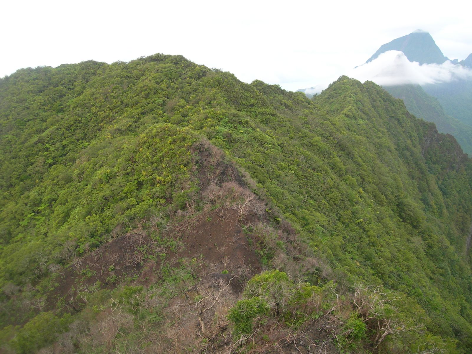 Moorea-Fairurani-3-4-aout-2009-fin-cr-te