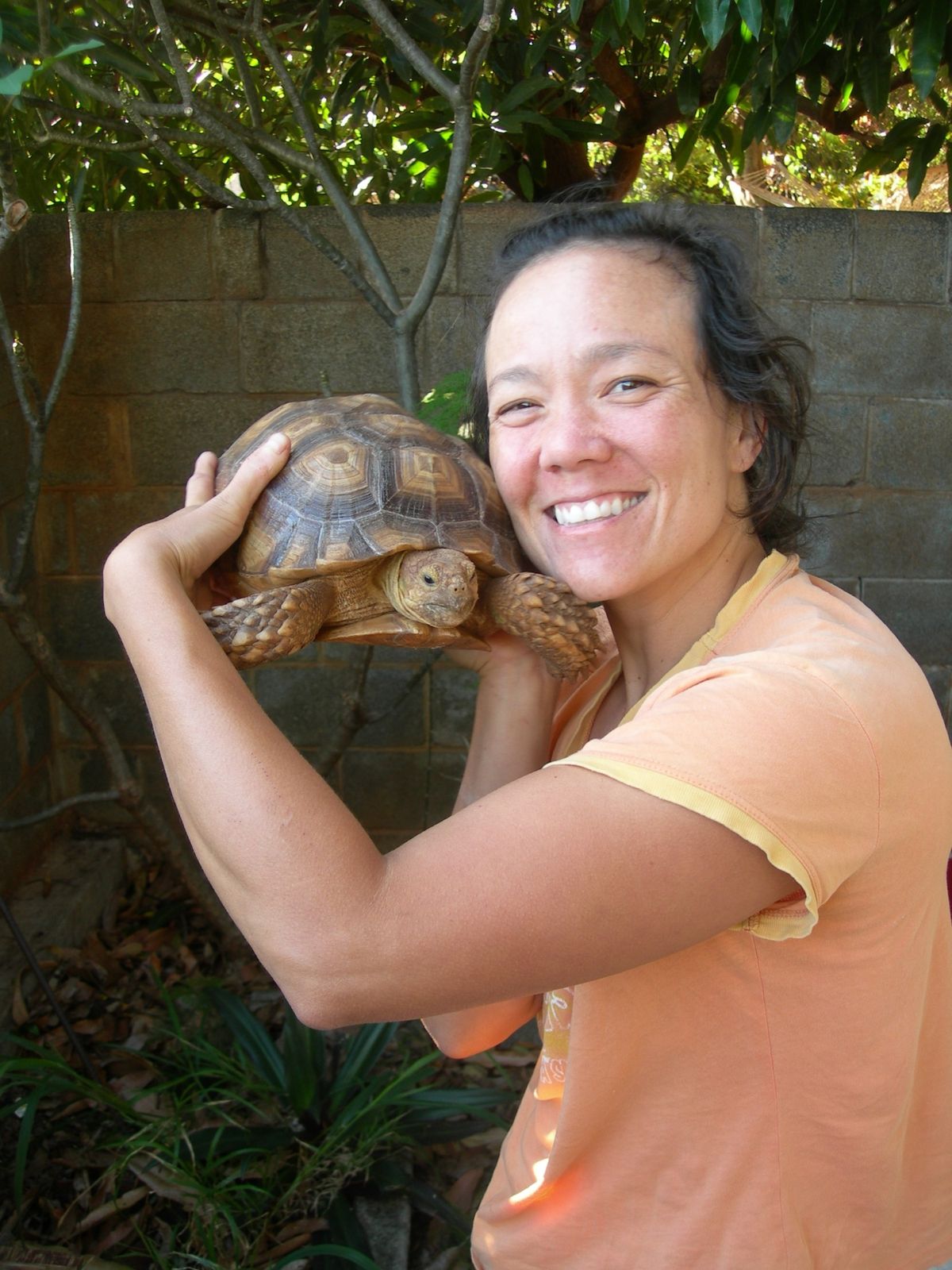 Oahu-8-9-mai-2009-Steph---turtle.jpg
