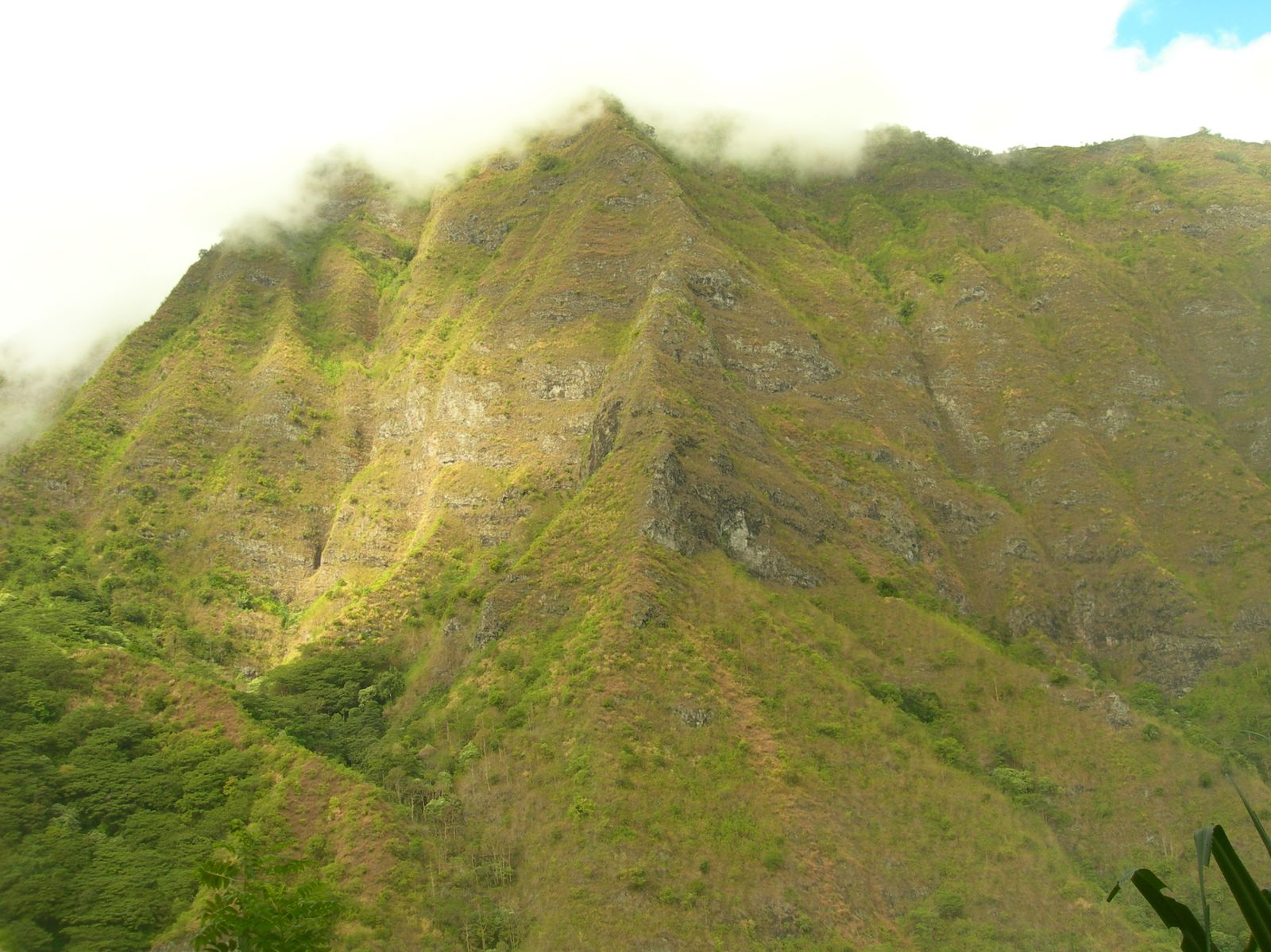 Tahiti-Punaruu-18-20-aout-2009-cr-te-s-c