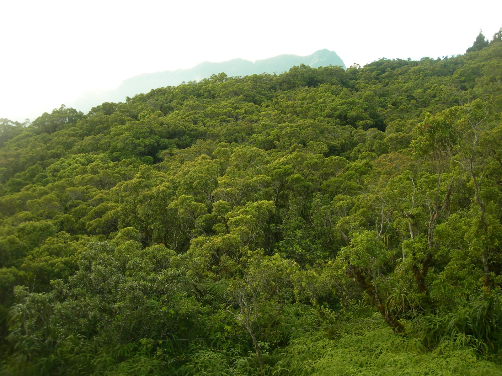 Tahiti-mont-Marau-8-juillet-2009-for-t-n