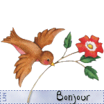 bonjour.gif