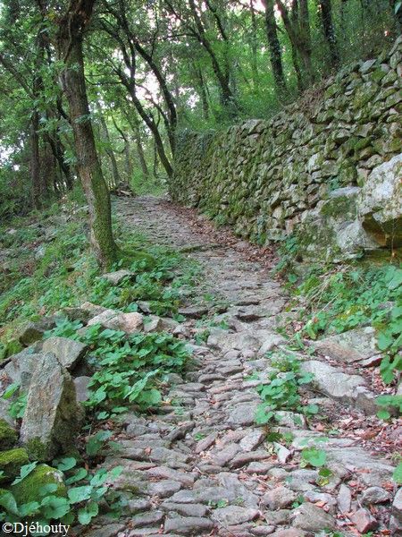 chateau de Saissac 39 Chemin d'accès au village médiéval