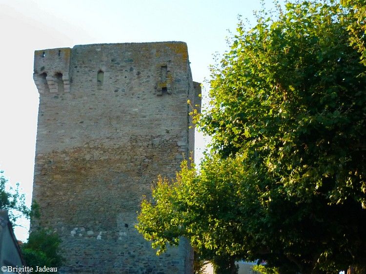 chateau de Saissac 77