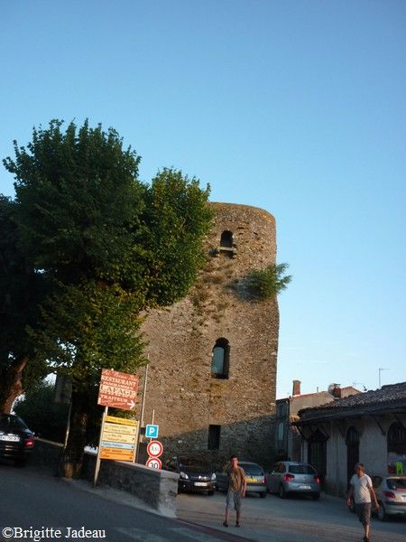 chateau de Saissac 85