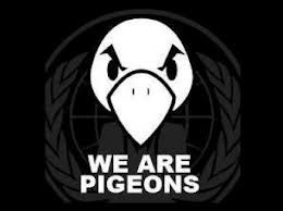 we-are-pigeons.jpg
