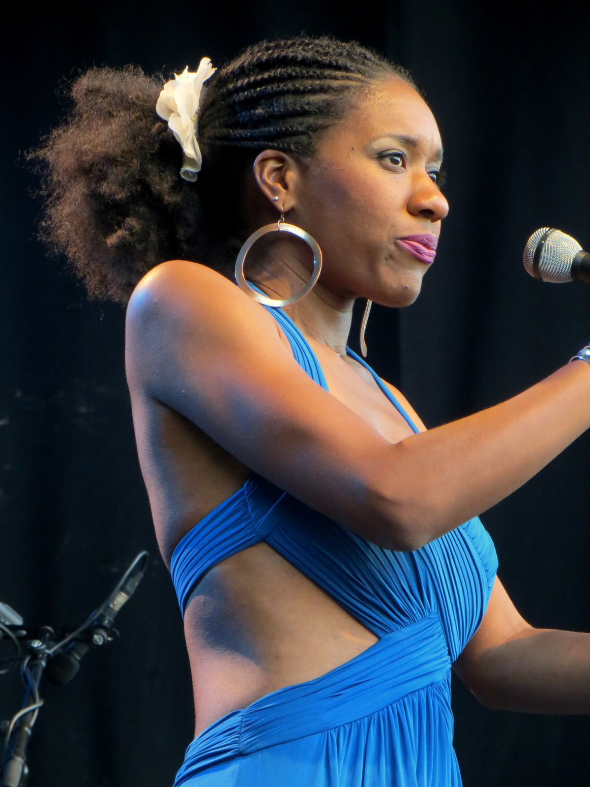 Album - Tricia-Evy à Orléans'Jazz 2013 - VIVRE AUTREMENT VOS LOISIRS avec  Clodelle