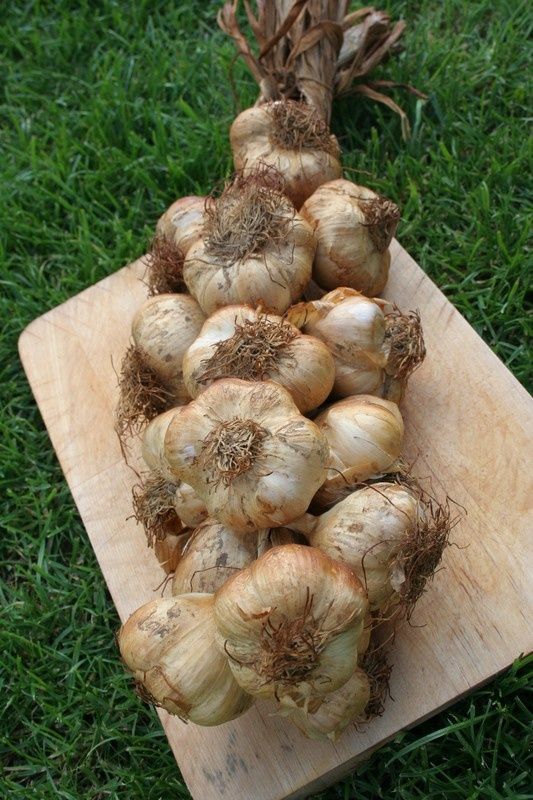 recettes_007
