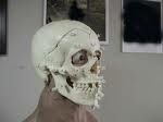 reconstitution-faciale2.jpg