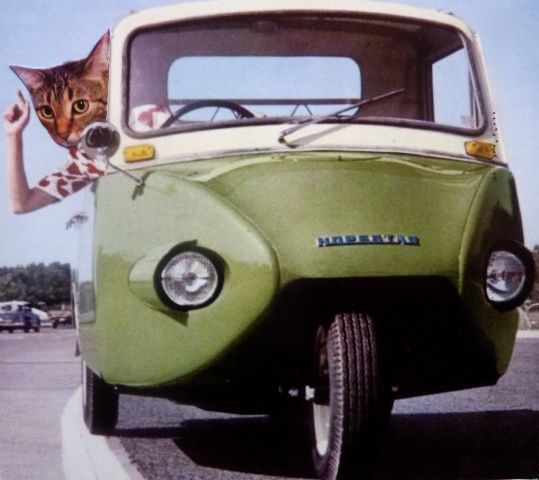On-the-holiday-road--jpg