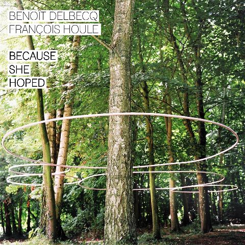 Delbecq-Houle--cover.jpg