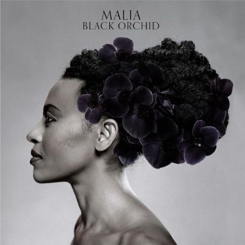 Malia--blackorchid---cover.jpg