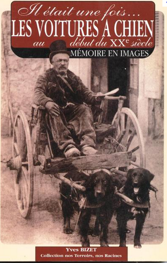 Capture-voitures-a-chiens.PNG