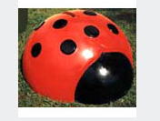 Capture coccinelle