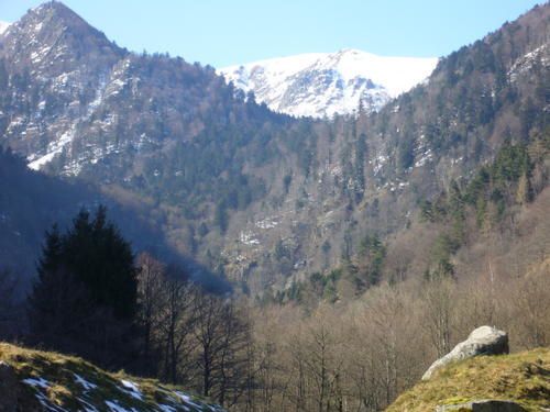 randonnées aux quatre saisons dans les Vosges
photos philae (jo)