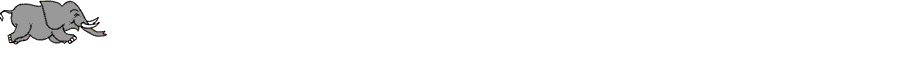 ligne éléphant
