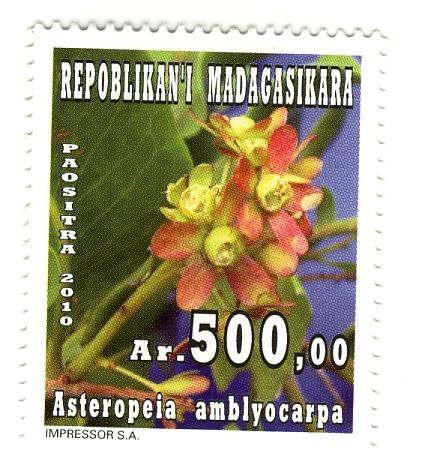 500ar