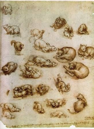 leonard-de-vinci-etude-du-mouvement-des-chats.1268645354
