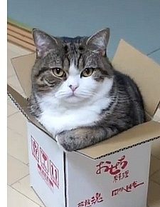 maru 450-52c24
