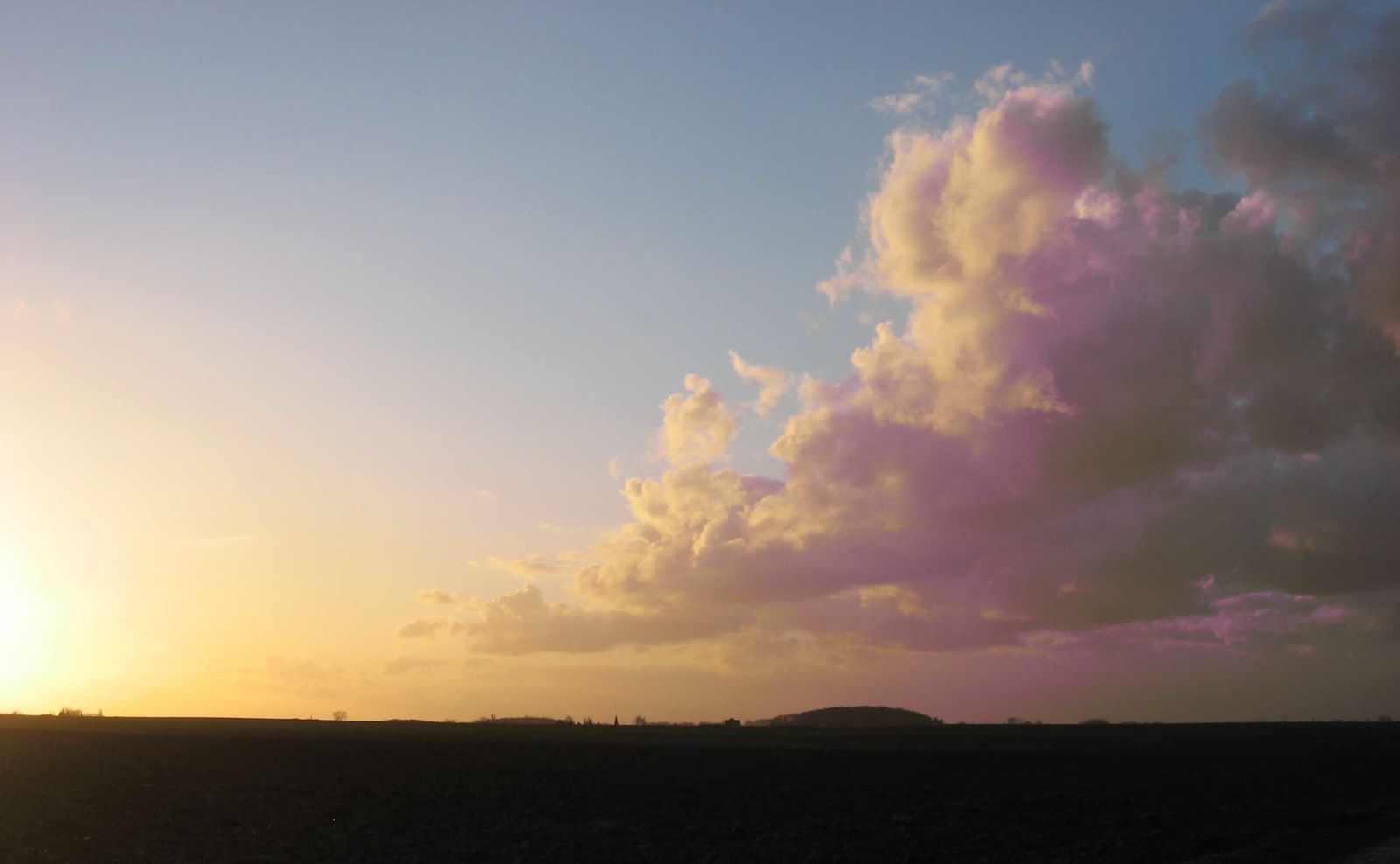 Figures d'arbres et de nuages. Paréidolie