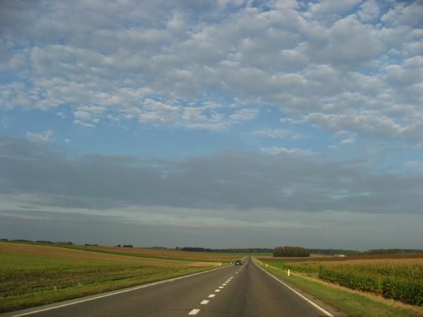 Figures d'arbres et de nuages. Paréidolie