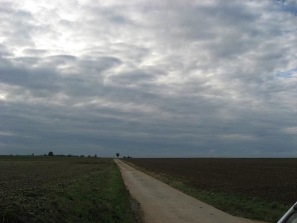 Figures d'arbres et de nuages. Paréidolie