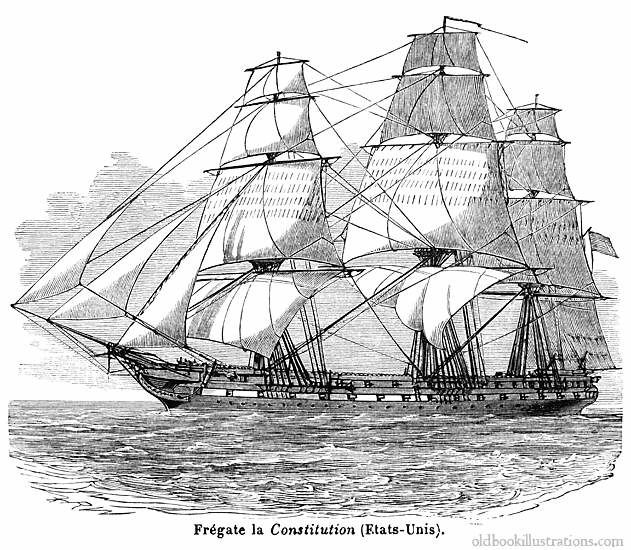 constitution