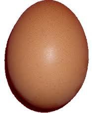 oeuf-copie-1