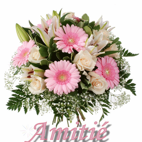 fleurs amitiés
