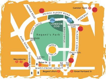 london-zoo-area-map-87-is9al
