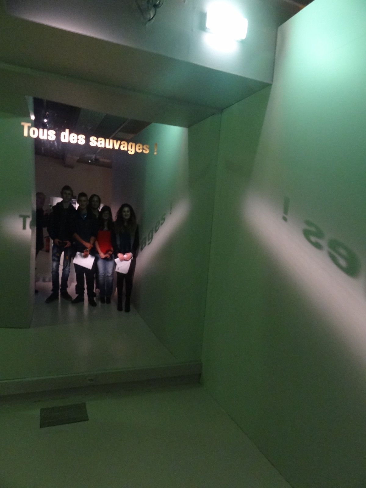 Le 11 octopbre 2013, les Premières L de l'Iroise ont visité l'exposition "Tous des sauvages!" à l'abbaye de Daoulas.