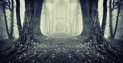 12957376-photo-symetrique-d-39-un-passage-secret-dans-une-s.jpg