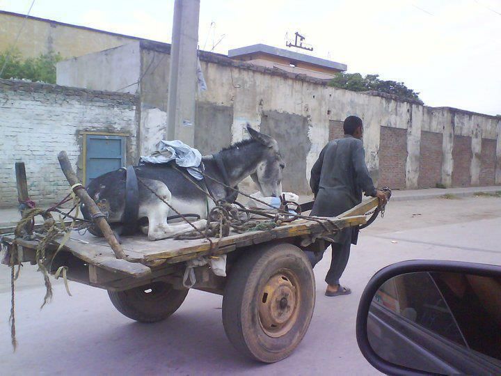 chacun-son-tour-au-maroc.jpg